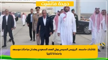 نقاشات حاسمة.. الرئيس السيسي وولي العهد السعودي يعقدان مباحثات موسعة واجتماعًا ثنائيًا 1